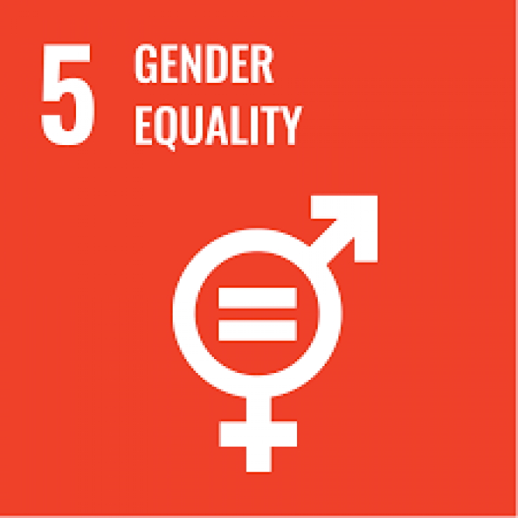 SAKARYA UNIVERSITY GENDER EQUALITY PLAN 2022-2025