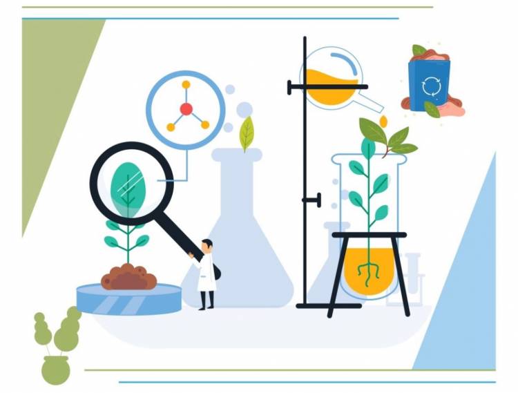 Upcycling Potential and Technical Analysis of Agricultural Waste in Sakarya Province